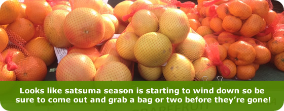 fresh & local image