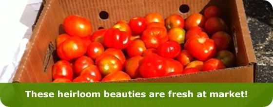fresh & local image