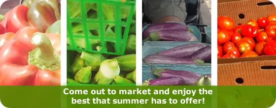 fresh & local image