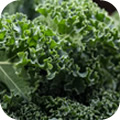 recipe of the week