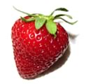 recipe of the week