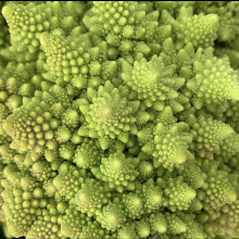 Linguine with Roasted Romanesco