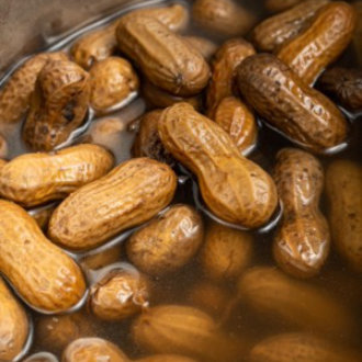 Boiled Peanuts